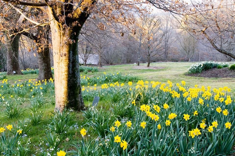 Mount Tomah Botanical Gardens Image -5be75270c52cc